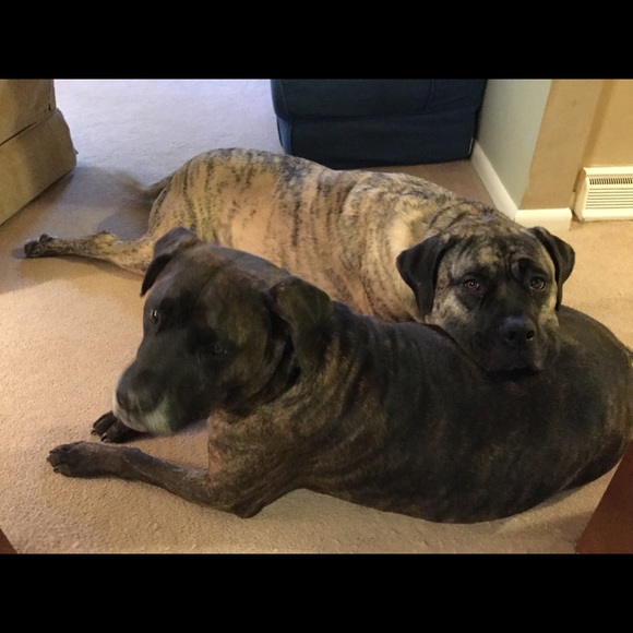 Meet your Posher, Julie - Picture 6 of 9